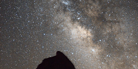 Starry Skies astronomy at Hamsterley Forest - MILKY WAY NIGHT primary image