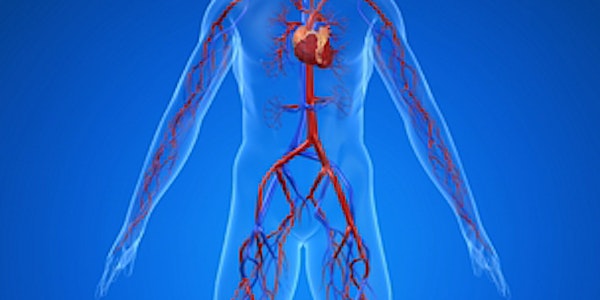 Venous Disease Seminar