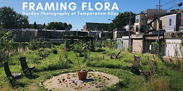 Framing Flora: Garden Photography at Temperance Alley
