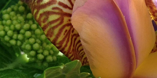 Breath, Emotion & Creative Flow