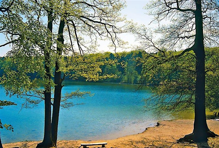 Swedish lake in Brandenburg: Idyllic Hike around Liepnitzsee image