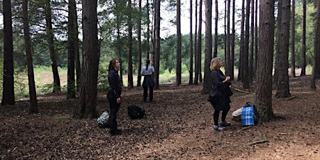 Forest Bathing at Horsell Common, Woking, GU21