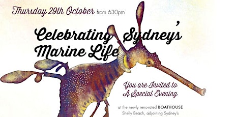 Celebrating Sydney's Marine Life primary image