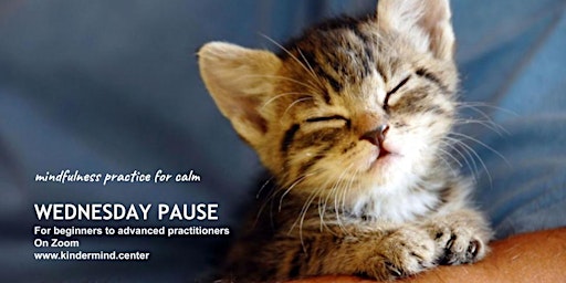 Mindfulness Meditation: Wednesday Pause - Malaysia primary image
