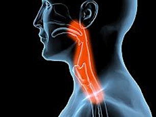 The Picture - Dysphagia Therapy in Action primary image