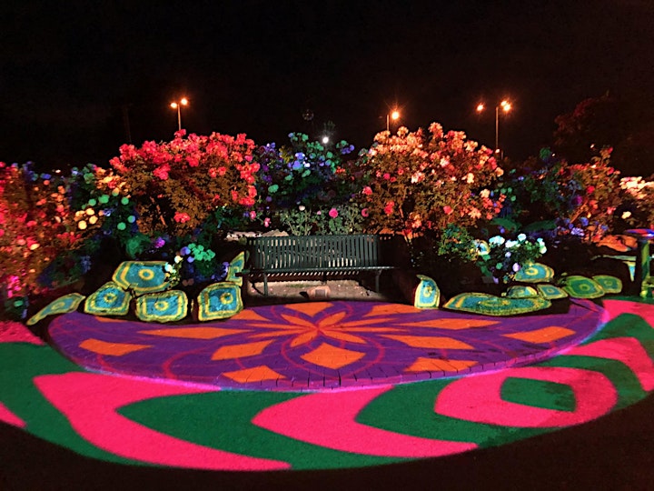 International Rose Garden Festival Morwell - AGL Night Lights Installation image