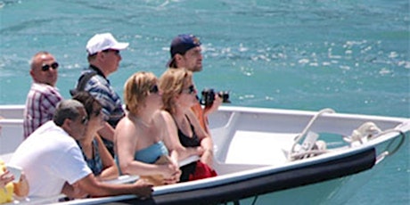 MIAMI BY LAND AND BY SEA HALF DAY AFTERNOON TOUR