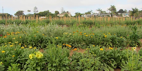 A Fundraiser Brunch for our farmer and our friend Luke Girling primary image