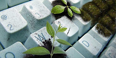 Immagine principale di Green Coding: rispettare l'ambiente giocando con le nuove tecnologie 