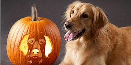 Hopeful Hound Howl-o-ween Low Cost Vaccine Clinic October 17th 2015 primary image