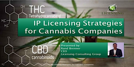 IP Licensing Strategies for Cannabis Companies - Workshop Replay primary image