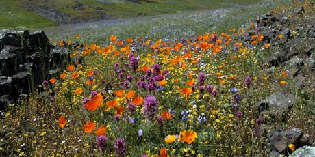 North Table Mountain Ecological Reserve Oroville Events