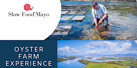 Oyster Farm Experience with Slow Food Mayo primary image