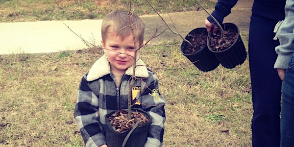 "Adopt-a-Tree"