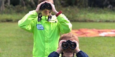 Audubon Adventures:  "What's in Your Pond?" primary image