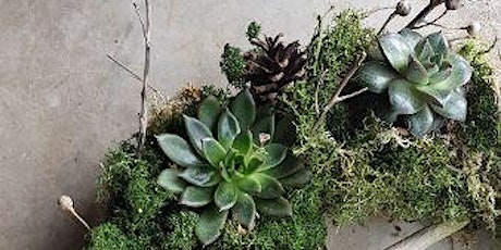 Living wreath making with succulents tickets