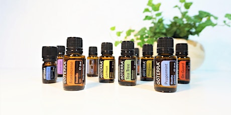Essential Oils for Supporting your Health & Wellbeing - Evening primary image