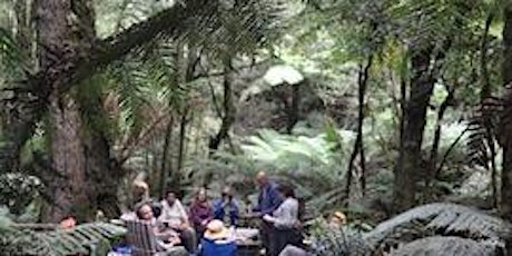 Tall Trees to Our Taps  - A Day Experiencing Victoria's Mountain Ash Forest primary image
