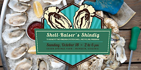 Shell-Raiser's Shindig primary image