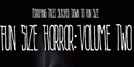 FUN SIZE HORROR VOLUME TWO primary image