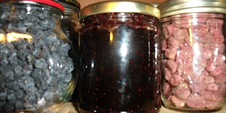 RCFM Reduced Sugar Blueberry Jam Making Workshop primary image