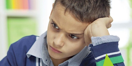 Emotions, Challenging Behaviors and Academic Success primary image