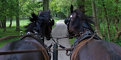 Tocht met paard & wagen: herfstpracht en bronst
