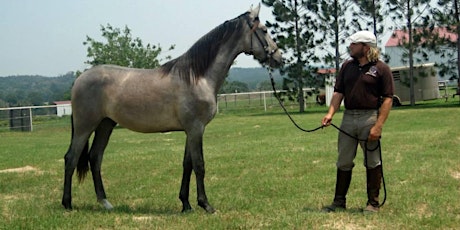 Faith Based Equine Assisted Philosophy - Experiential Healing Seminar Certification primary image