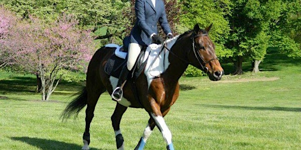 Advances in Equine Research: 'Spotting" the Genes for Color in the Horse