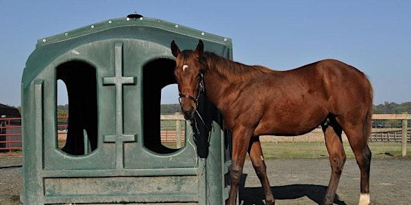 Advances in Equine Research: Strategies to Optimize Equine Hay Use