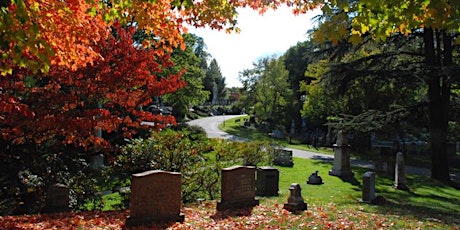 History on Halloween: Walking Tour of Mount Auburn Cemetery primary image