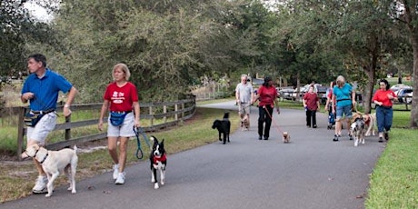 Backpacking/Dog Walk primary image