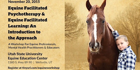 Equine Facilitated Psychotherapy and Equine Facilitated Learning: An Introduction to the Approach primary image