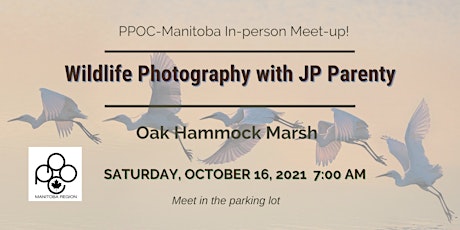 4310-0041 PPOC-Manitoba Presents: Wildlife Photography with JP Parenty primary image
