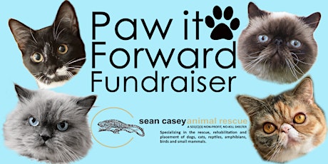 Paw It Forward NYC primary image