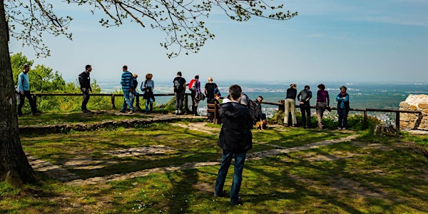 Gutscheinticket für eine Abendtour bei Wanderdate bis 22.12.2022