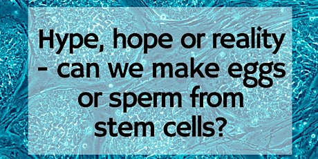 Hype, hope or reality- can we make eggs or sperm from stem cells? primary image