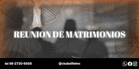 Imagen principal de REUNION DE MATRIMONIOS