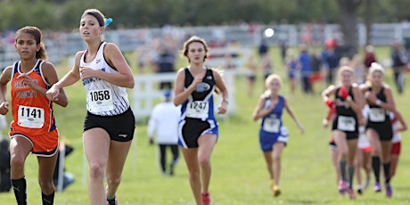2015 KHSAA Cross Country State Championships primary image