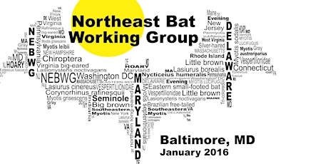 Northeast Bat Working Group Meeting 2016 primary image