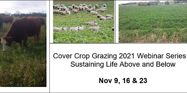 Cover Crop Grazing 2021 (Online)