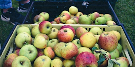 Apple Day primary image