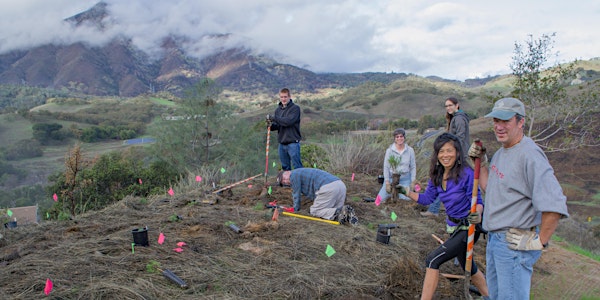 Diablo Restoration Team Workday: Marsh Creek 6