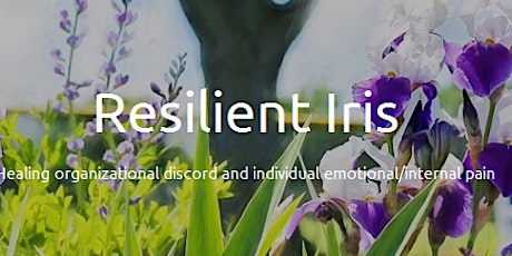 Resilient Iris Business Launch - Wellness Experience primary image