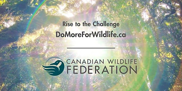 The Canadian Wildlife Federation