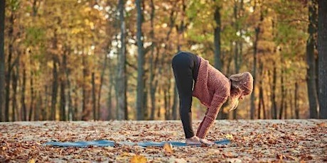 Leaf Peep & Yoga | Connect, Move + Breathe Under the Changing Trees! primary image