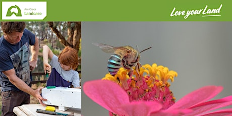 Build a Native Bee Hotel this School Holidays with Axe Creek Landcare tickets