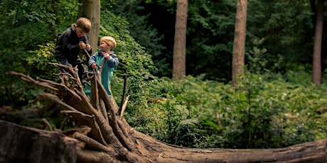 Family Outdoor Woodland Mini Portrait Sessions in Pollock Park primary image