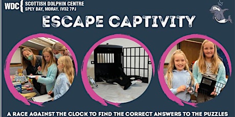 Escape Captivity - Free the orca! tickets