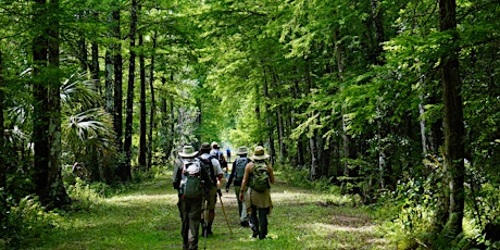 WeekEND Hike at CREW Bird Rookery Swamp tickets